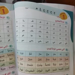 المدرسة الرائدة جنين وُلد ميتا وأدخل التعليم العمومي في نفق التخبط 2 1